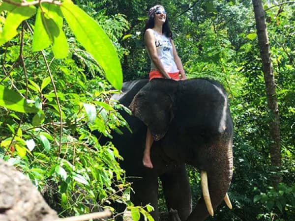 Phuket Bareback Riding 1 hour & Shower