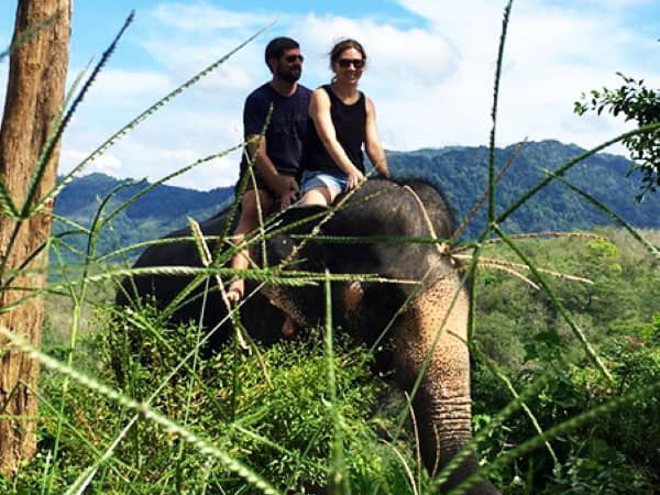 Phuket Safari Tour