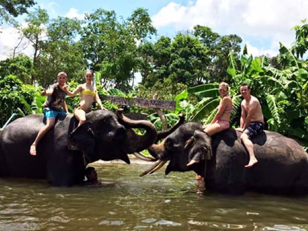 Phuket Safari Tour