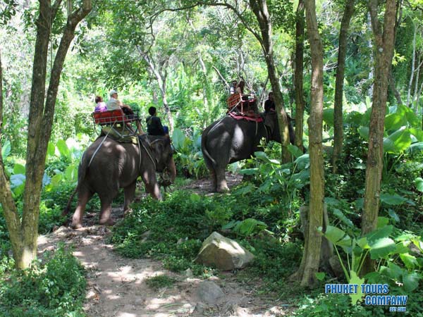 Phuket Safari Animal Tour