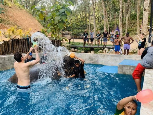 Phuket Bathing with Elephants